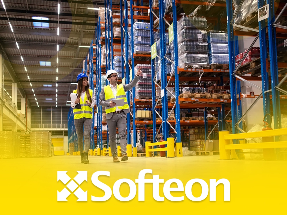 Expert Logistics Software Developer