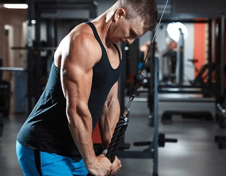 Fitness App Download