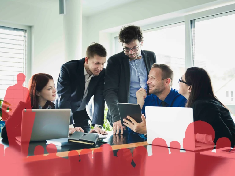 Politics Software Development