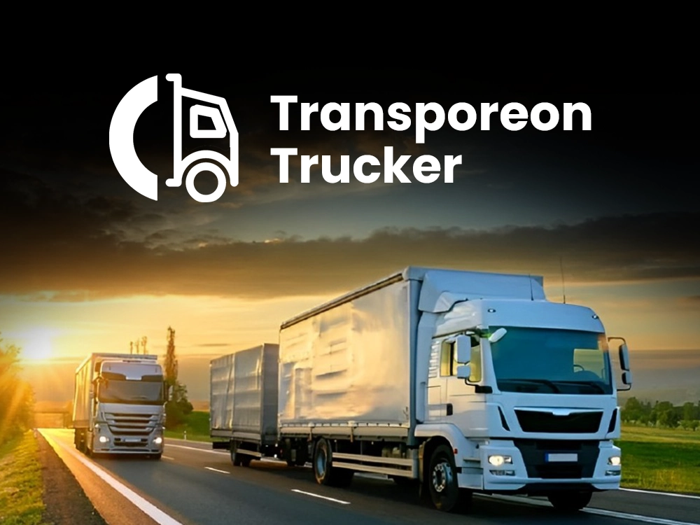 Supply Chain Software Developer