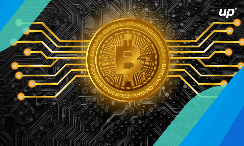Crypto's Financial Inclusion Crypto's Financial Inclusion