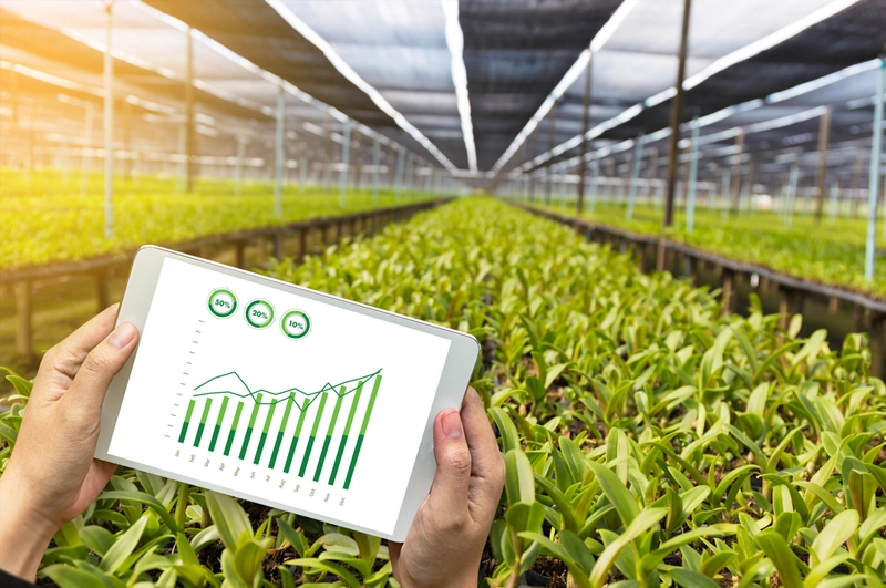 Agriculture