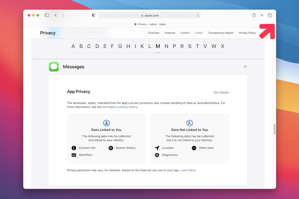 Apple’s Latest Privacy Feature Launched to Mask Users’ Internet Browsing