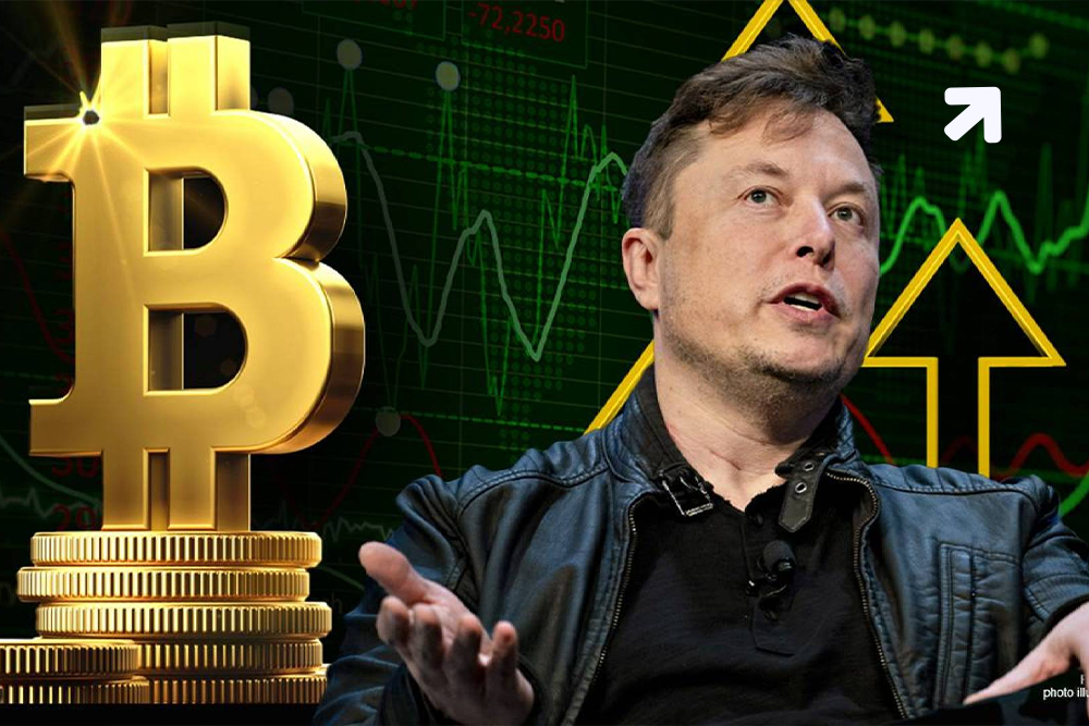 lon Musk Recommends Tesla Might Discarded Crypto Stocks