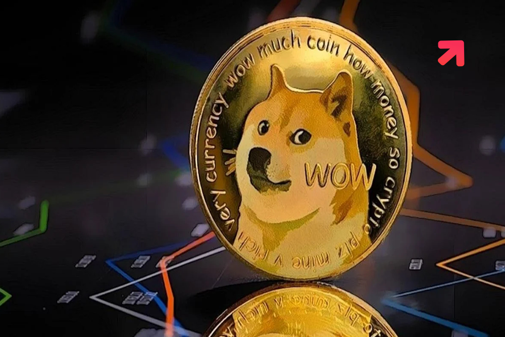 Coinbase Pro Unwrap to Dogecoin After 6,000% Gain of Crypto