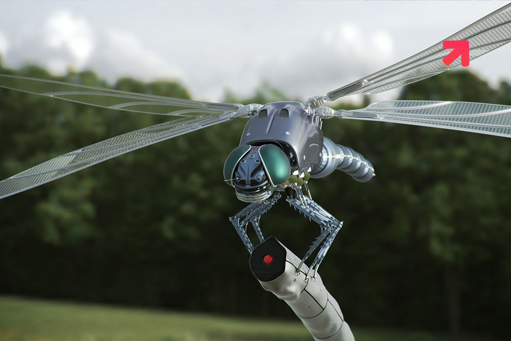 Create Insect-like Gaits For Robots in a ‘Chaotic’ Way