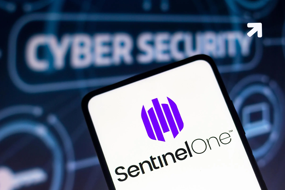 Cybersecurity Organization SentinelOne Organize to Come in Public