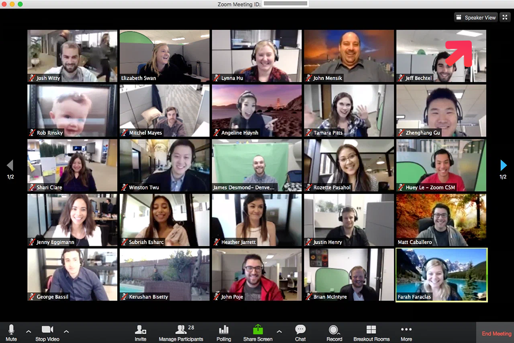 Creating a Video Conferencing App like Zoom