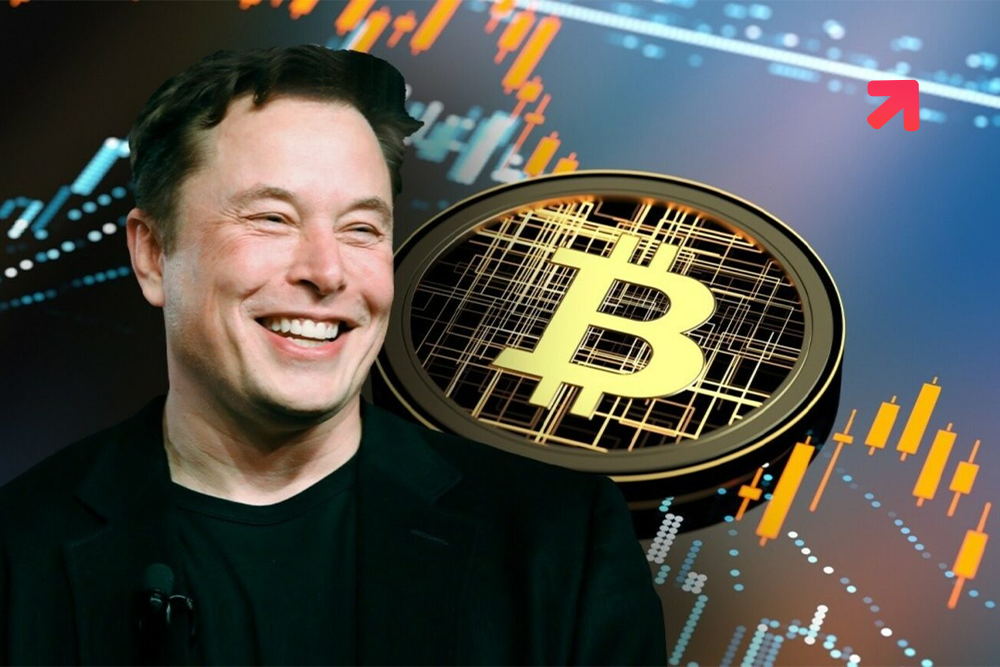 Elon Musk’s Tesla Will Stop Accepting Bitcoin
