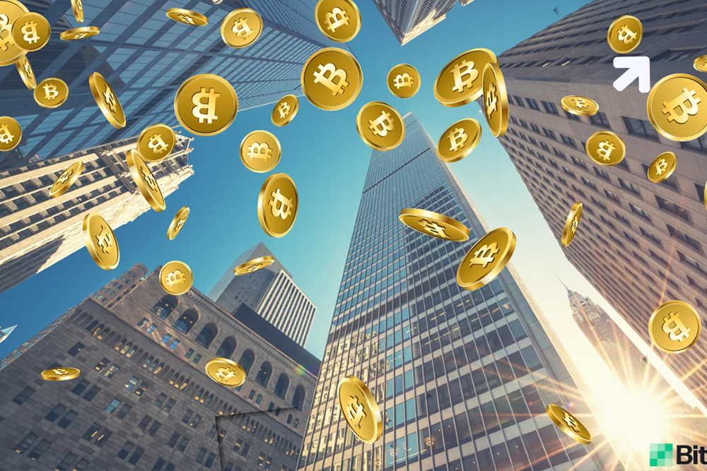 Ether Digital Currency Touches a New High Fading Bitcoin’s Limelight