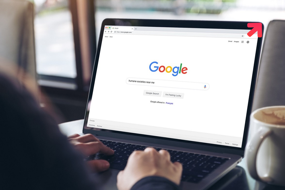 Google search will feel a lot different with new updates coming soon