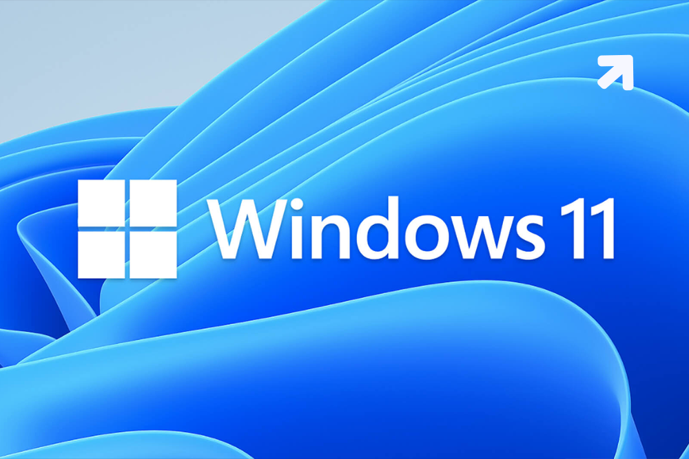 Windows 11 poll Half the users just don’t like the new look