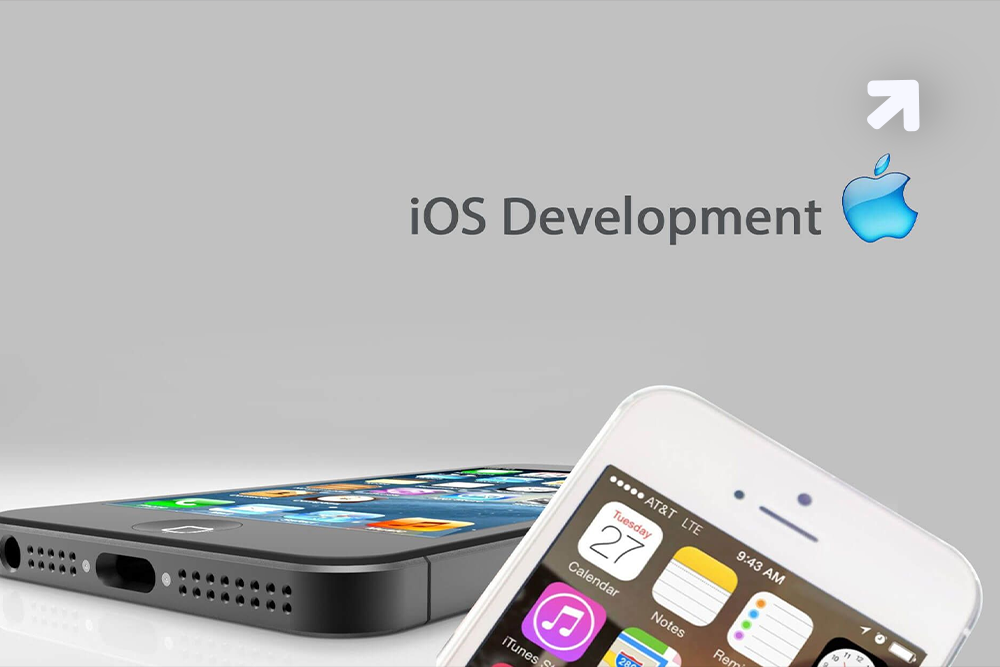 Enterprise iOS App Development