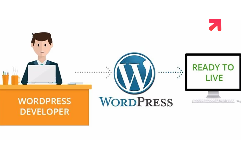 How to Hire a WordPress Developer for Startups