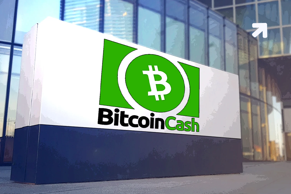 Noel Lovisa Plans to Build $50M Bitcoin Cash Tech Park