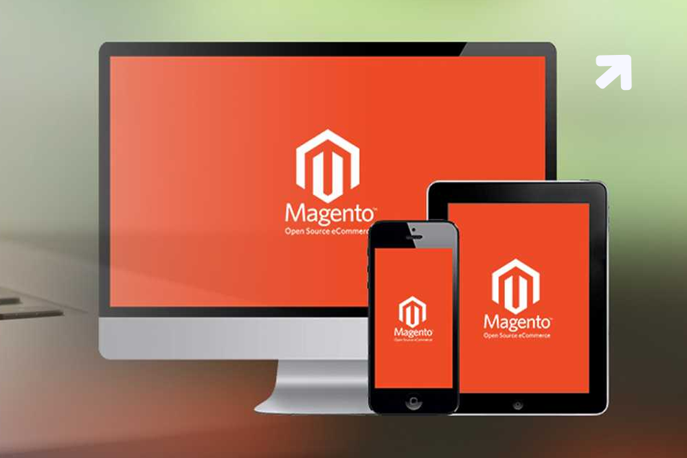 Magento E-Commerce Platform in 2019