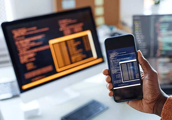 Professional developer workspace for trusted digital partnership